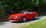 1999 Mustang Cobra Convertible Thumbnail 6