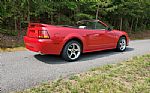 1999 Mustang Cobra Convertible Thumbnail 15