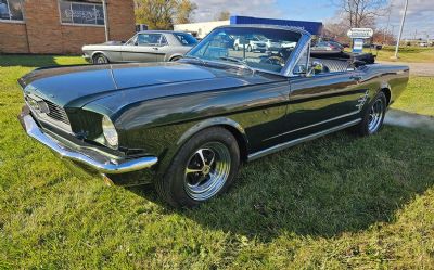 1966 Ford Mustang 