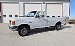 1989 Ford F-150