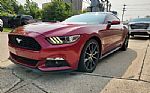 2016 Mustang Thumbnail 9