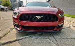 2016 Mustang Thumbnail 10