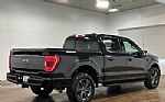 2023 F-150 Thumbnail 4