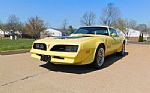 1977 Pontiac Firebird Trans Am