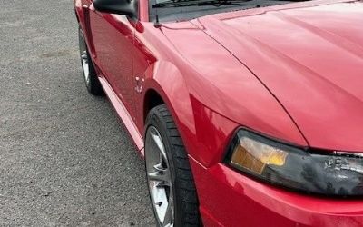 Photo of a 1999 Ford Mustang Cobra for sale