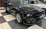 2007 Mustang Shelby Thumbnail 6