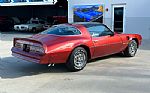 1976 Firebird Thumbnail 5