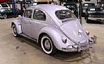 1960 Beetle Thumbnail 5