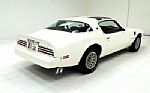 1977 Firebird Trans Am Thumbnail 6