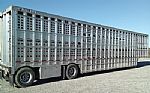 2021 Livestock Trailer Thumbnail 2