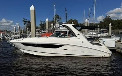 2014 SEA Ray Sundancer 310