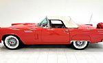 1956 Thunderbird Roadster Thumbnail 5