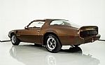 1979 Trans Am Thumbnail 12