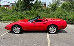 1995 Corvette Thumbnail 14