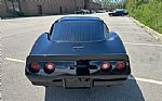 1981 Corvette Thumbnail 9