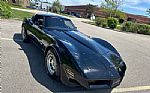 1981 Corvette Thumbnail 12