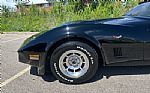 1981 Corvette Thumbnail 17