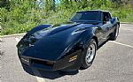 1981 Corvette Thumbnail 15