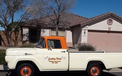 Photo of a 1959 Ford F-100 for sale