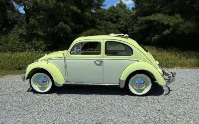 Photo of a 1964 Volkswagen Beetle for sale