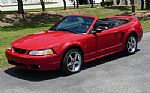 1999 Mustang SVT Cobra Convertible Thumbnail 3