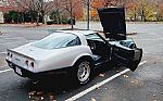 1981 Corvette Thumbnail 11