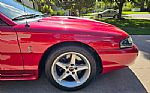 1996 Mustang SVT Cobra Thumbnail 66