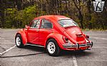 1968 Beetle Thumbnail 4