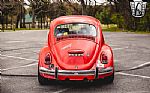 1968 Beetle Thumbnail 5