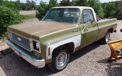 1973 Chevy C10 Long BOX