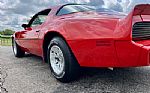 1979 Firebird Trans Am Thumbnail 39