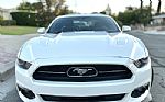 2015 Mustang GT Limite Edition Thumbnail 3