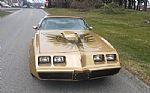 1979 Firebird Thumbnail 3