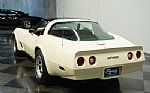 1981 Corvette Thumbnail 8