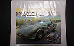 1978 Corvette Indy 500 Pace Car Thumbnail 70