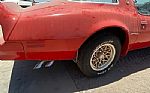 1977 Trans Am Thumbnail 19