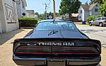 1979 Trans Am Thumbnail 4