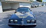 1979 Trans AM Thumbnail 2