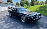 1979 Trans AM Thumbnail 1