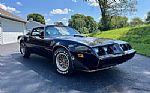 1979 Trans AM Thumbnail 9