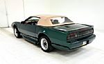 1992 Firebird Trans Am Convertible Thumbnail 5