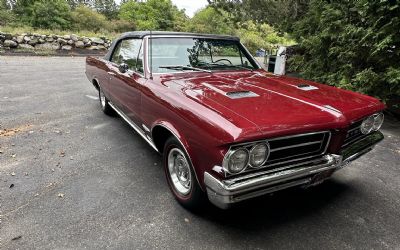 Photo of a 1964 Pontiac GTO Convertible for sale