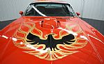 1976 Trans Am Thumbnail 28