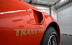 1976 Trans Am Thumbnail 26