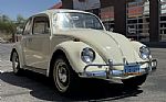 1967 Beetle Thumbnail 5