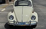 1967 Beetle Thumbnail 4