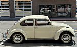 1967 Beetle Thumbnail 7