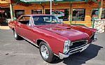 1966 GTO Thumbnail 15