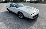 1984 Firebird Thumbnail 6