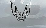 1984 Firebird Thumbnail 15